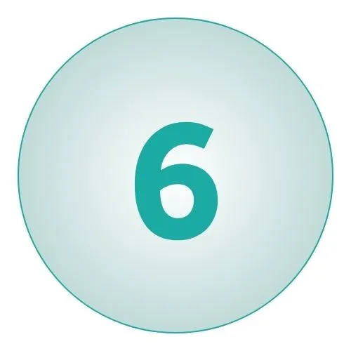 The Neuroscience of Goal Setting: Drive Motivation